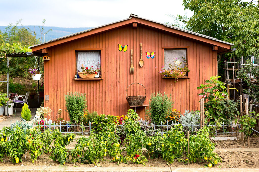 Ein Garten der Heimat und Geborgenheit Fotoserie: «Familiengärten zwischen Telli und Autobahn»